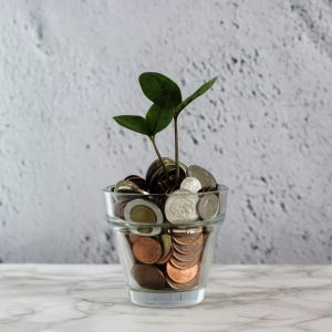 money in a plant pot